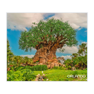 Animal Kingdom Tree of Life