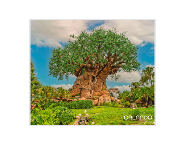 Animal Kingdom Tree of Life