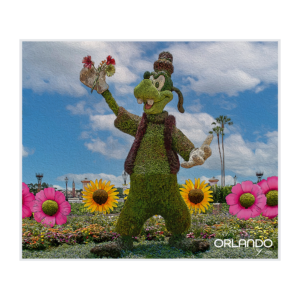 Goofy Topiary