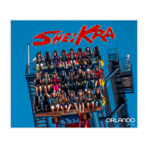 Sheikra Roller Coaster