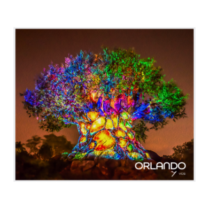 Colorful Tree of Life at Animal Kingdom