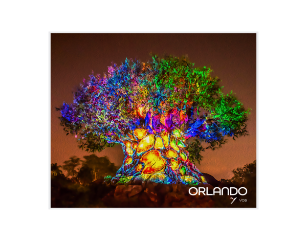 Colorful Tree of Life at Animal Kingdom